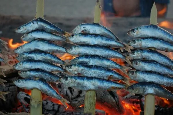 Close-up of sardine skewers roasting over a fire on the beach, a traditional culinary practice in Málaga